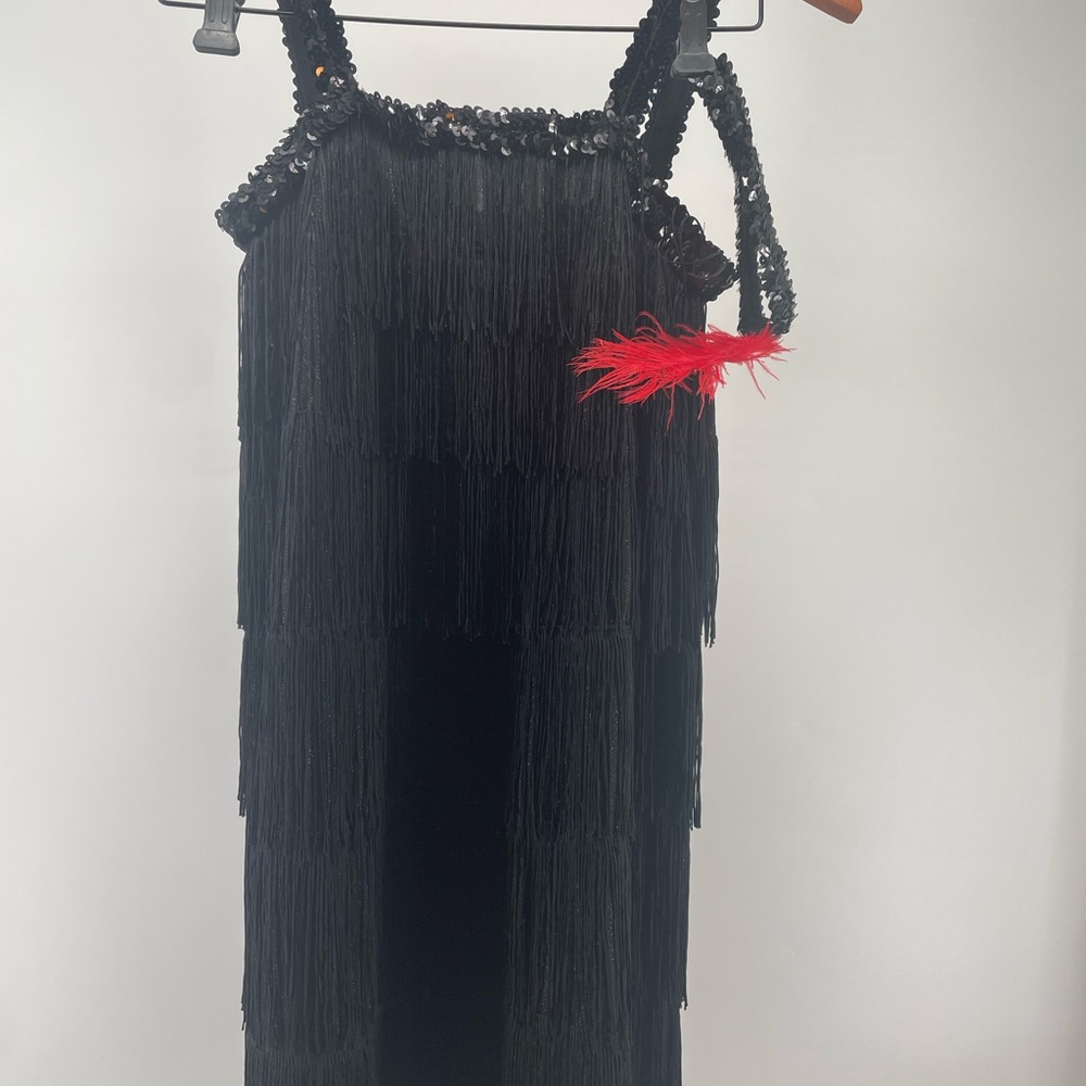 Girls Flapper Dress with Red Feather Accent